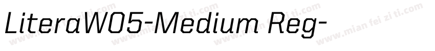 LiteraW05-Medium Reg字体转换